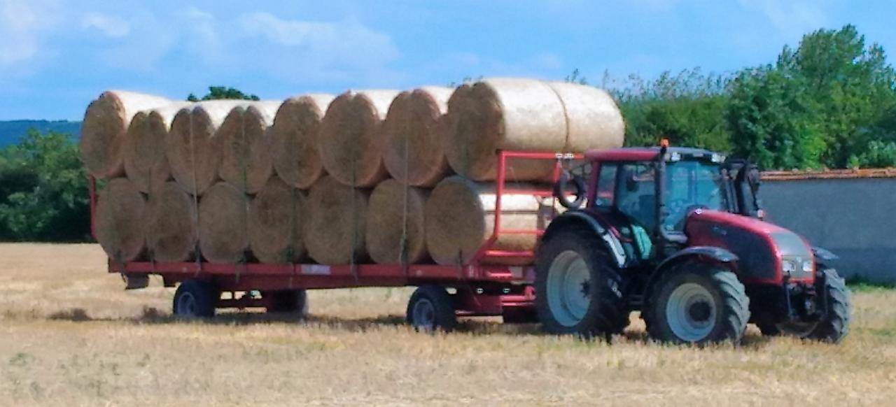 10 Rouleaux de printemps