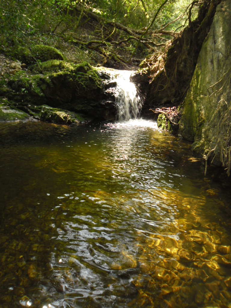 12 Petite cascade à Tournon sur Rhône