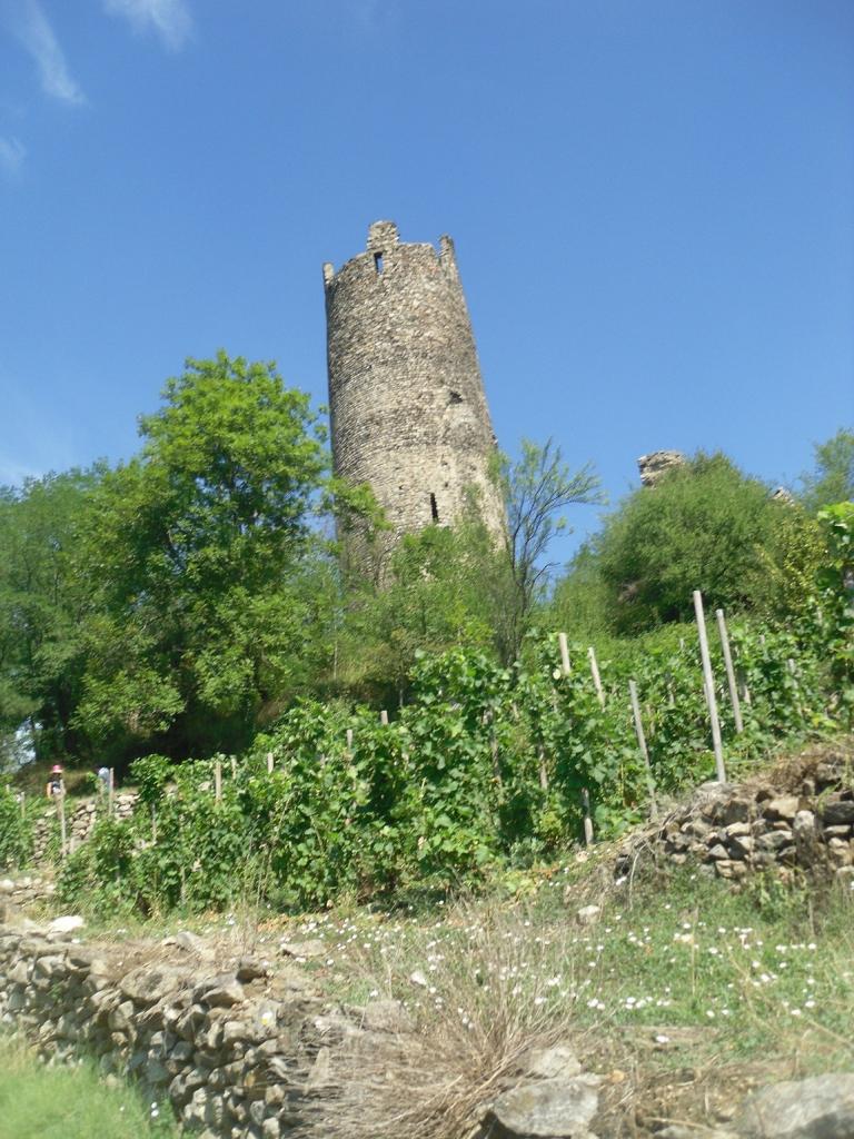 16 Tour d'Arras sur Rhône