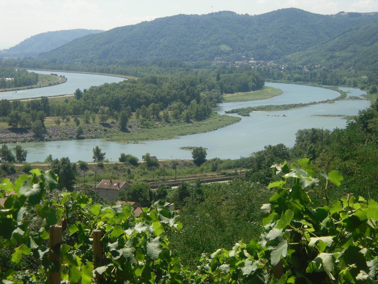 17 Embouchure du Rhone vue d'Arras sur Rhône