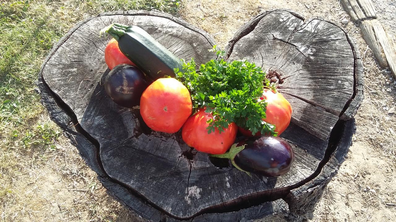 GAGNANTE 31 Légumes sur coeur