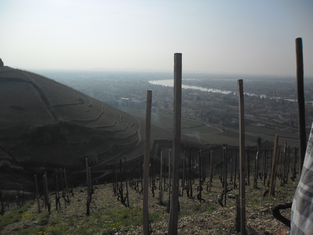 9 Vignes de Tain l'Hermitage